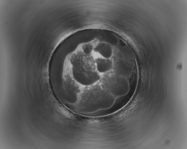 X0000100331230200806121120