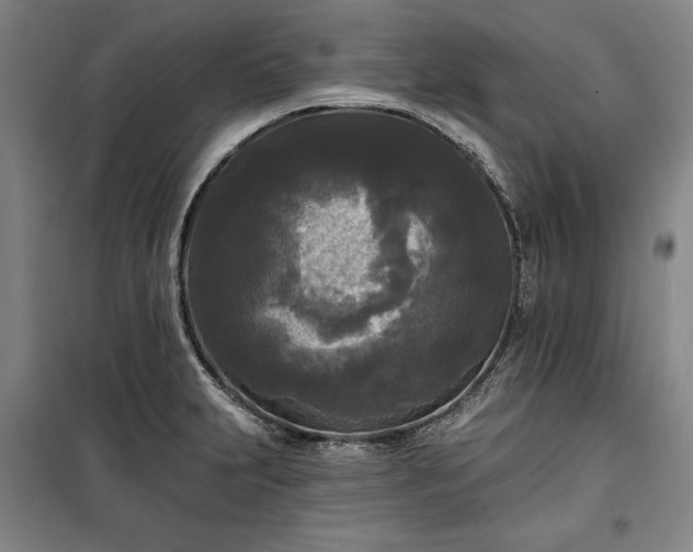 X0000100331231200806121120