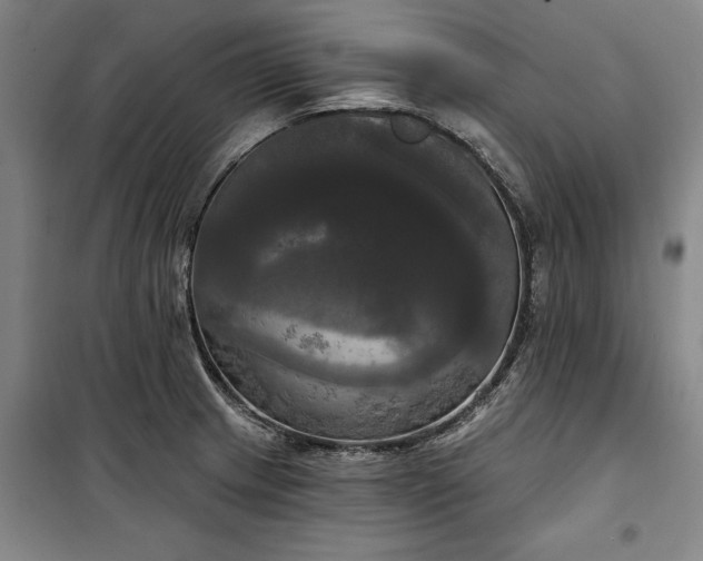 X0000100331233200806121120