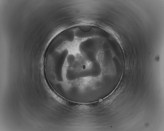 X0000100331235200806121120