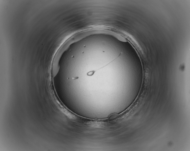 X0000100331236200806121120