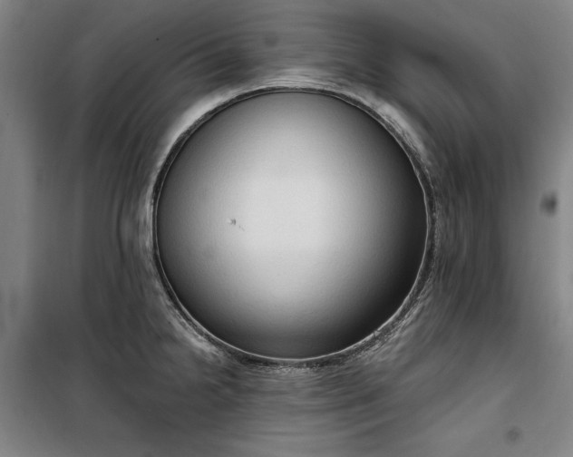 X0000100331238200806121120