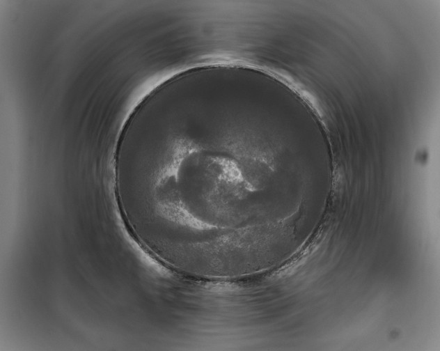 X0000100331239200806121120