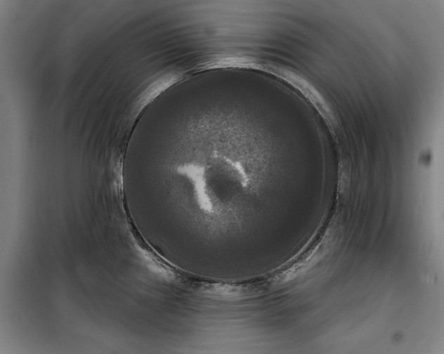 X0000100331241200806121120