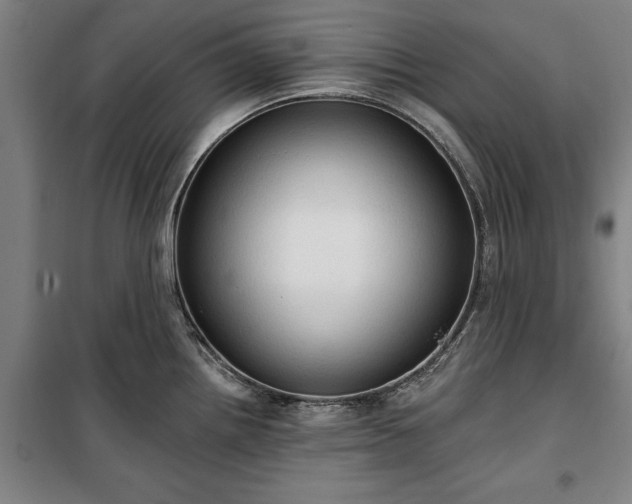 X0000100331242200806121120