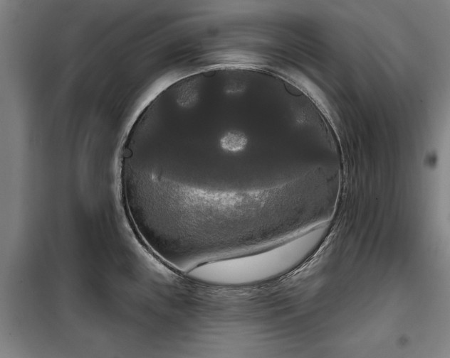 X0000100331243200806121120