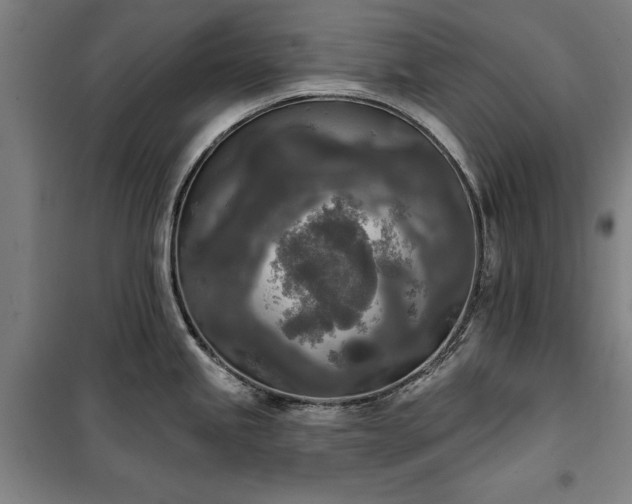 X0000100331245200806121120