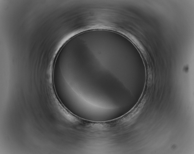 X0000100331246200806121120