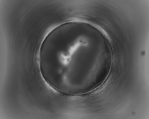 X0000100331247200806121120