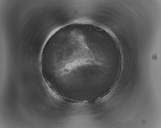 X0000100331248200806121120