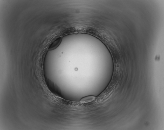 X0000100331249200806121120