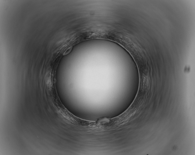 X0000100331250200806121119