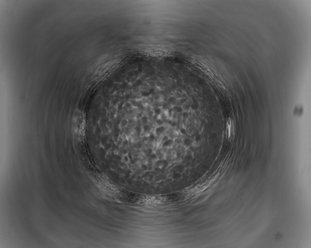 X0000100331251200806121119