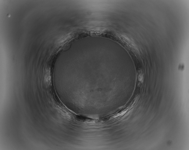 X0000100331252200806121119