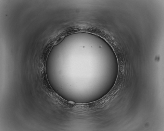 X0000100331253200806121119