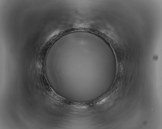 X0000100331254200806121119