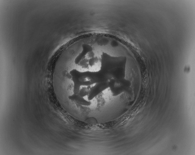 X0000100331255200806121119