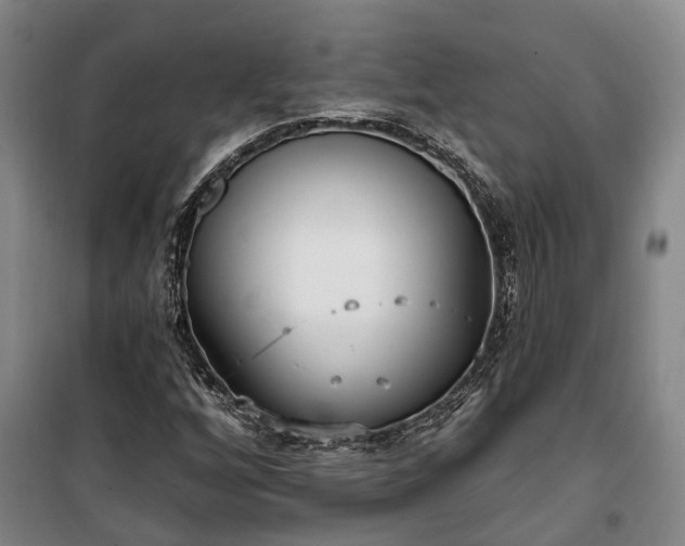 X0000100331256200806121119