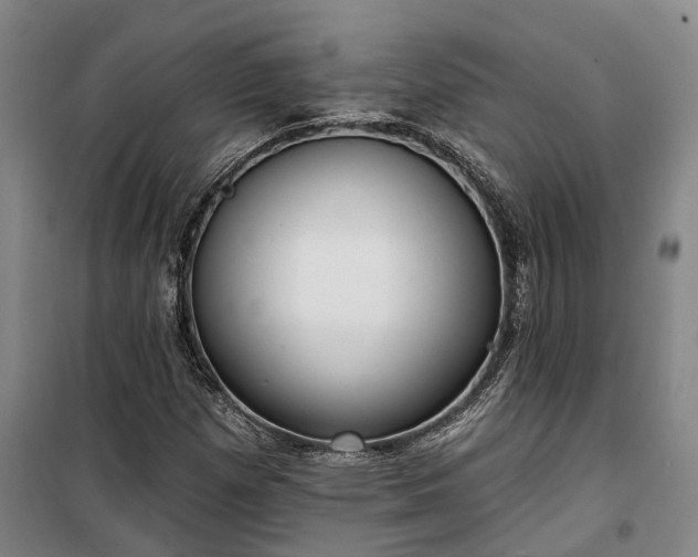 X0000100331257200806121119