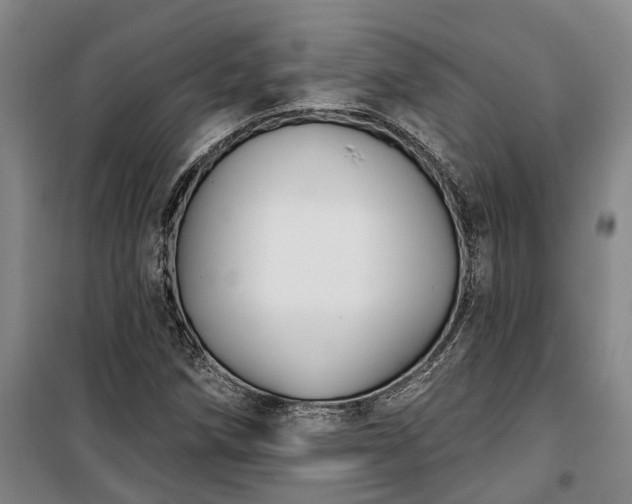 X0000100331258200806121119