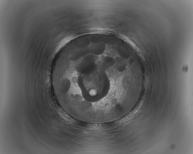 X0000100331259200806121119