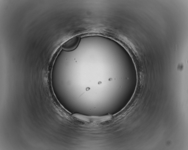 X0000100331260200806121119