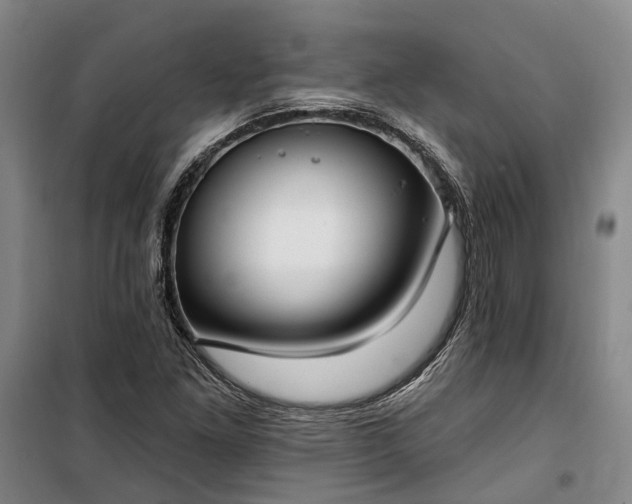 X0000100331261200806121119