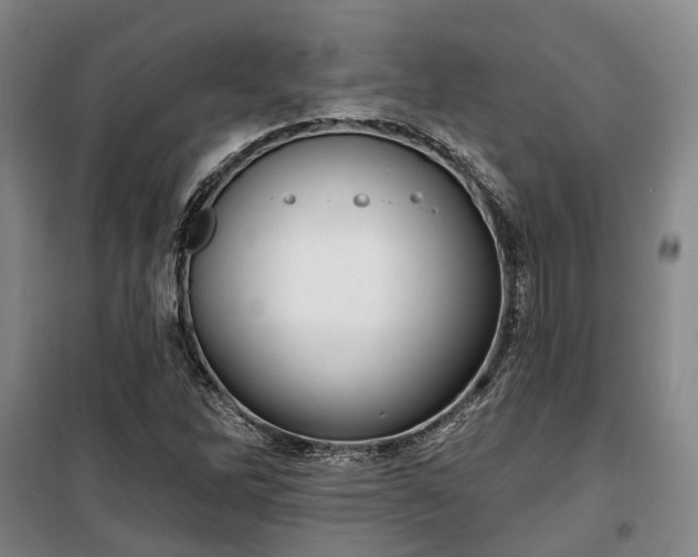 X0000100331262200806121119