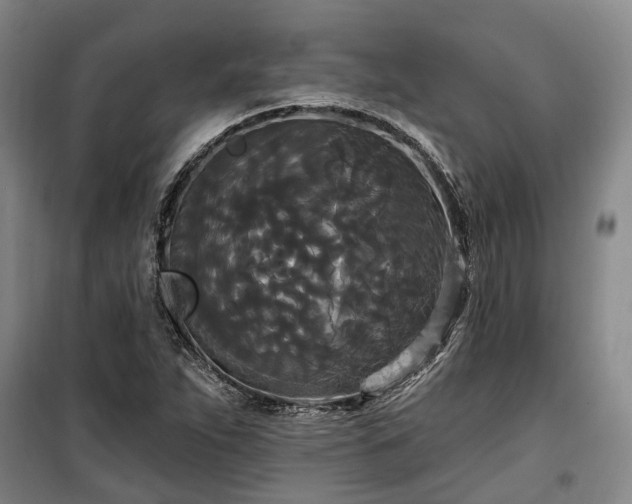 X0000100331263200806121119