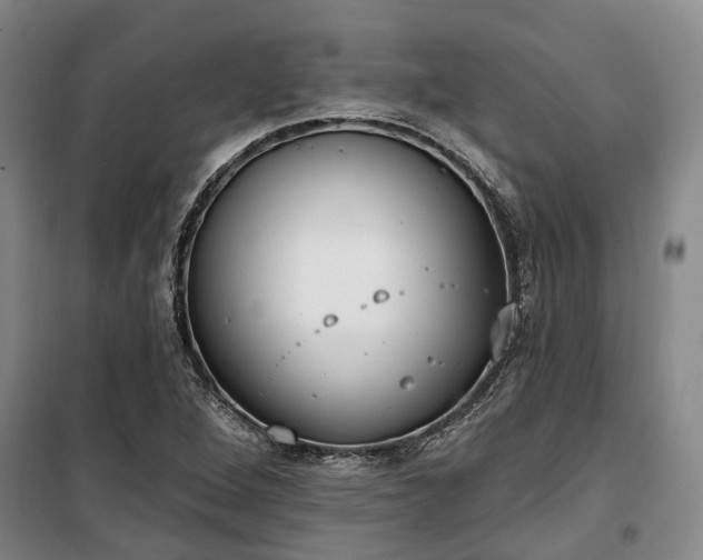 X0000100331264200806121119