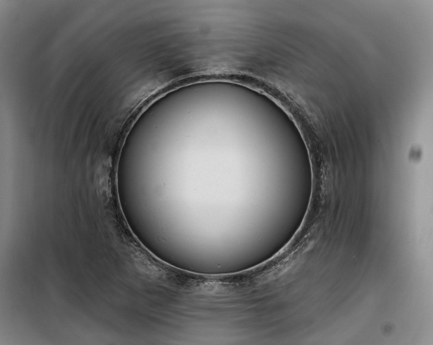 X0000100331265200806121119