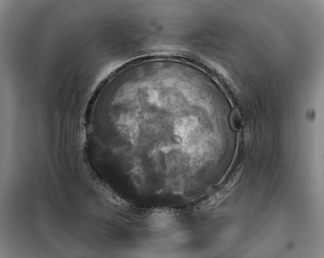 X0000100331267200806121119