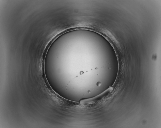 X0000100331268200806121119