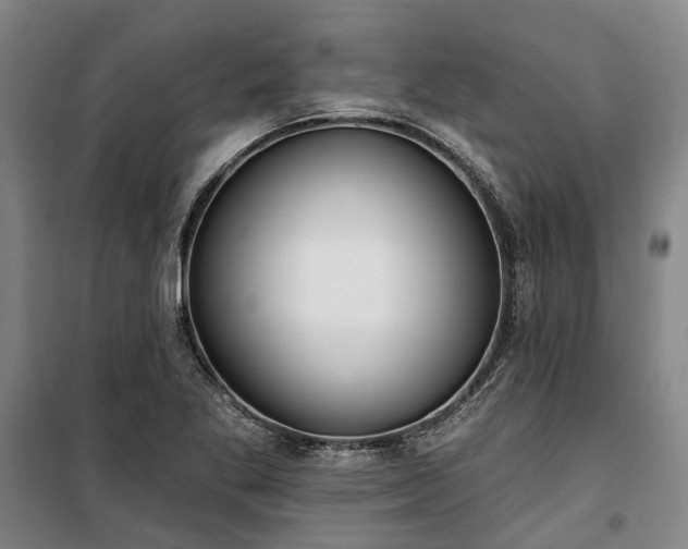 X0000100331269200806121119