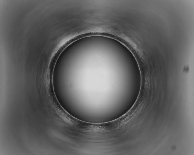 X0000100331270200806121119