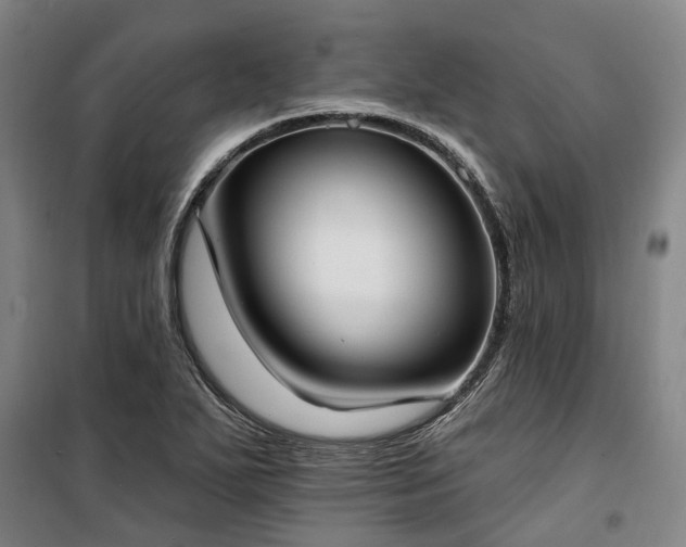 X0000100331271200806121119