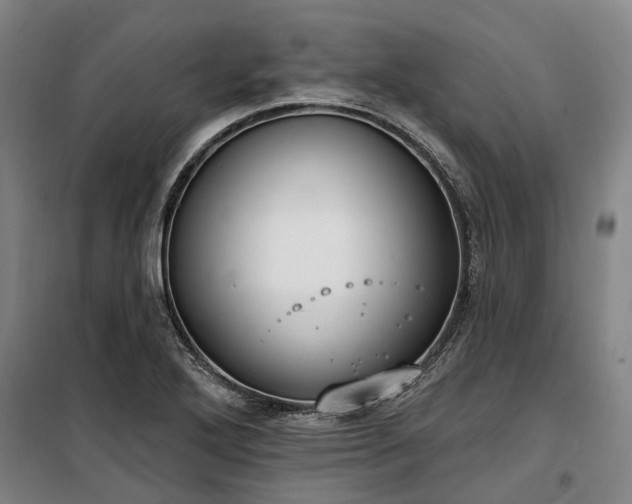 X0000100331272200806121119