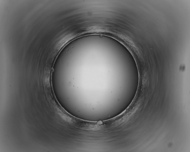 X0000100331273200806121119