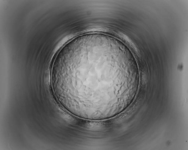 X0000100331274200806121119