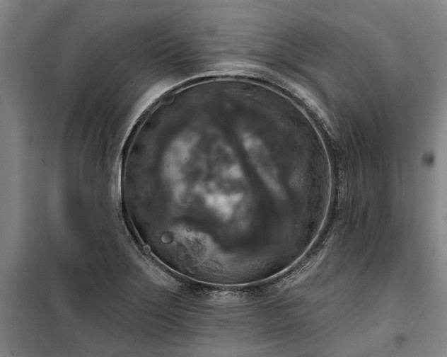 X0000100331275200806121119