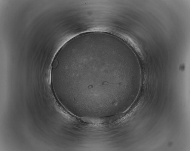 X0000100331276200806121119