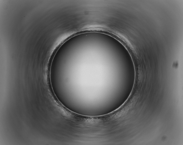 X0000100331277200806121119