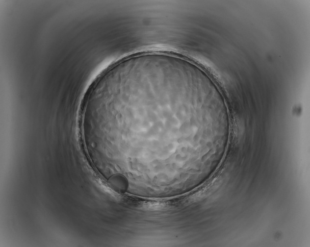 X0000100331278200806121119