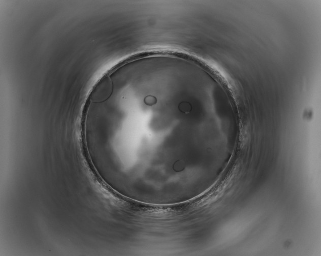 X0000100331279200806121119