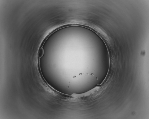 X0000100331280200806121119