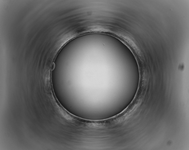 X0000100331281200806121119