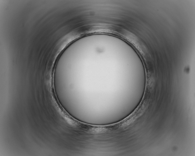 X0000100331282200806121119