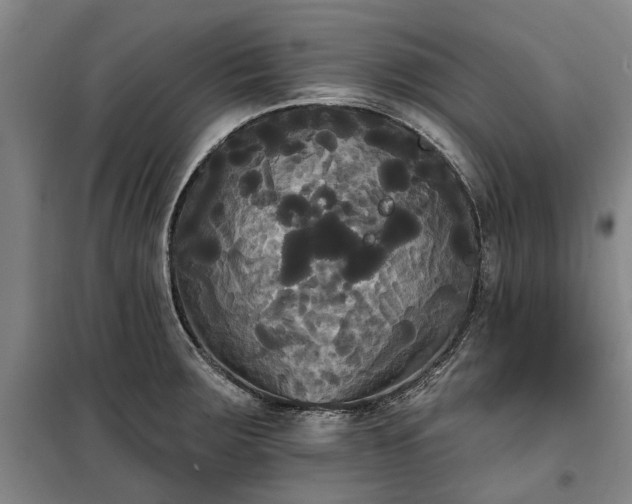 X0000100331283200806121119