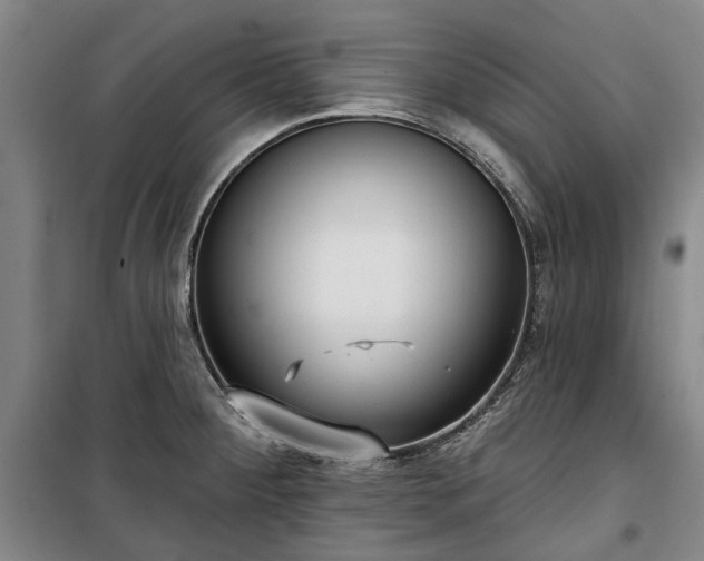 X0000100331284200806121119