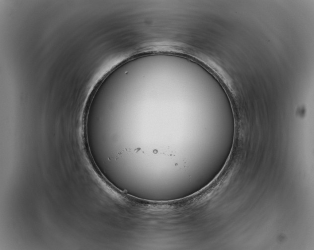 X0000100331285200806121119